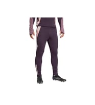 adidas AFC TR PNT Erkek  Mor  Eşofman Altı JF2916