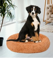 Pelüş Köpek Yatağı – Evcil Hayvanınız İçin Konforlu ve Şık Uyku Alanı (Hardal)