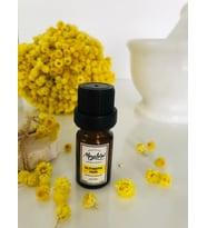 MEGALORA ALTINOTU YAĞI ( ÖLMEZ ÇİÇEK ) IMMORTELLE OIL