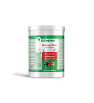 Röhnfried Elektrolyt 3Plus Kombine Elektrolit Karışımı 600 g