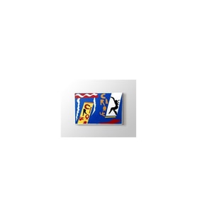 Henri Matisse The Circus Tablo 50 x 70 cm