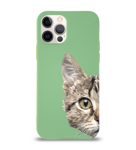 Apple iPhone 12 Pro Uyumlu Lansman Kılıf Catface Tasarımlı İçi Kadife Kapak-Yeşil (Şeffaf)
