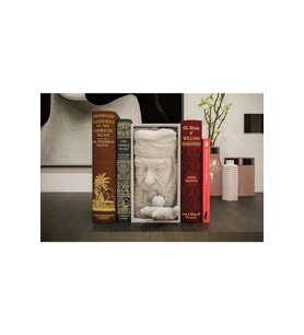 Dumbledore Tasarımlı Book Nook (Kitap Arası Dekoru)