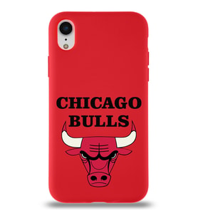 Apple iPhone XR Uyumlu Lansman Kılıf Chicago Bulls Tasarımlı Altı Kapalı İçi Kadife Kaplı  Kapak (Şeffaf)