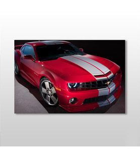 Mustang Kanvas Tablo 45x30cm (Karışık)