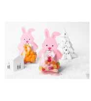 10 Adet 7,3x13,5cm Hayvanlar Alemi Karton Süs ve Jelatin Tavşan