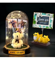 Kişiye Özel Işıklı Fanus & Baykuşlar  Peluş Ayıcıklı İsimli ve 3 Fotoğraflı Fanus