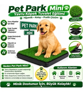 Park Mini Yavru Köpek Tuvalet Eğitimi
