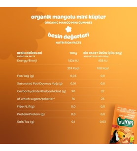 Organik Glutensiz Vegan Mangolu Mini Küpler - 30g