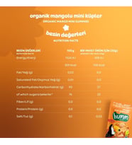 Organik Glutensiz Vegan Mangolu Mini Küpler - 30g