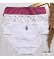 BAYAN KÜLOT-BİG SİZE (3'li Paket)