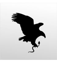 Folyo Sticker Kartal ADKPQUY619 20cm uzunluk