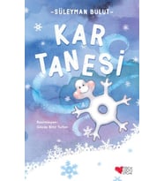 Kar Tanesi