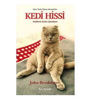 Kedi Hissi - Kedilerin Sırları Çözülüyor