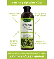 Phytoflora Tuzsuz Tüm Saç Tiplerine Özel Zeytinyağlı Bitkisel Şampuan 400 ML