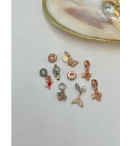 Rose Charm Seti