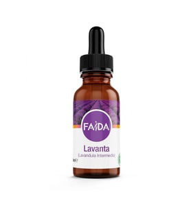 Lavender (Lavandula Angustifolia) 10 ml