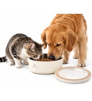 Stanley Everyday Pet Bowl 3 CUPS Evcil Hayvan Mama Kabı 10-13081-0028 Bej