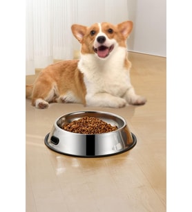 Çelik 1000 ml Gri Kaymaz Taban Kedi Köpek Mama Ve Su Kabı cin569-26