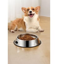 Çelik 1000 ml Gri Kaymaz Taban Kedi Köpek Mama Ve Su Kabı cin569-26