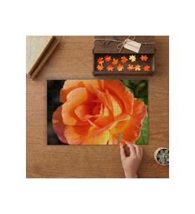 Turuncu Büyük Gül Tasarımı 240 parça Ahşap Puzzle Ahşap Kutuda MP00240