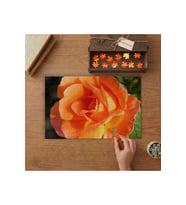 Turuncu Büyük Gül Tasarımı 240 parça Ahşap Puzzle Ahşap Kutuda MP00240