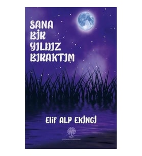 Sana Bir Yıldız Bıraktım