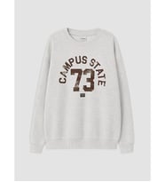 LCW Kids Gri Baskılı Erkek Çocuk Sweatshirt