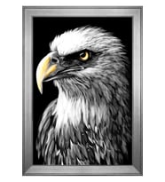 Hayvanlar Temalı Kanvas Tablo 80 x 110 cm Silver Çerçeve