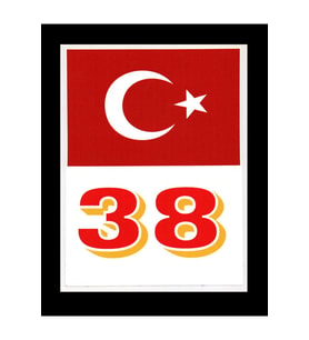 Türkiye Bayraklı Kayseri 38 Plaka Kodu Ön Cam Sticker