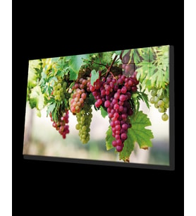 Meyveler Cam Tablo 4mm Dayanıklı Temperli Cam