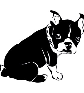 Folyo Sticker Yavru Köpek 100cm Uzunluk (Karışık)