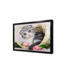 Kedi Yavrusu Çerçeveli Cam Tablo