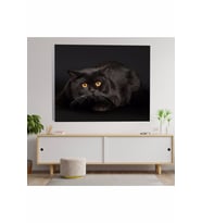 Siyah Evcil Kedi Temalı Kanvas Tablo