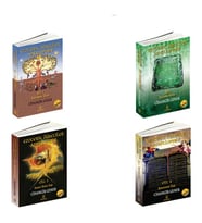 Ezoterik Öğretiler Ansiklopedisi / 4 Kitap Set