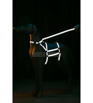 Mulvxbrf Brf02 Reflektörlü - Ayarlanabilir Köpek Harness - Köpek Gezdirme  - Npd007 (Mulvix)