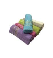 Bulteks Melis Zikzak Desen El Havlusu 30X50