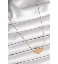 Tegan 316L Çelik Gold Renk Zincir Kuğu Model Kadın Kolye TG27BKO9873 (Çok Renkli)