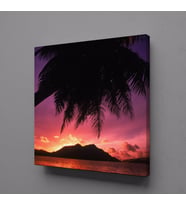 PEMBE YANSIYAN DENİZ KANVAS TABLO 30x30cm (Karışık)