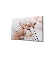 Miyrem Glasses Collection -A1^#  Kahverengi Karahindiba Cam Tablo (Çok Renkli)