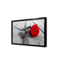 Kırmızı Gül Çerçeveli Cam Tablo