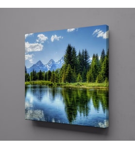 AĞAÇ YANSIMASI KANVAS TABLO 60x60cm (Karışık)