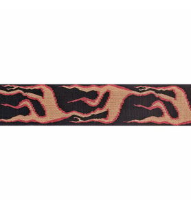 PLANETWAVES 50F01