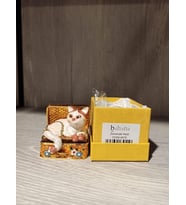 Swarovski Taşlı Kedi Mücevherlik / Dekoratif Biblo (Beyaz)