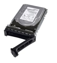 DELL 480GB SSD SATA ISE RI 6GBPS 512E 2.5IN HOT-PLUG 345-BGVP
