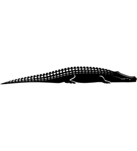 TİMSAH FOLYO STİCKER 50cm Uzunluk