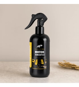 Oto Jant Temizleyici Sprey 400 ml