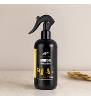 Oto Jant Temizleyici Sprey 400 ml