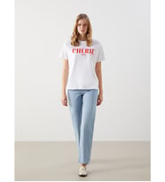 LCW Jeans İndigo Straight Fit Kadın Jean Pantolon
