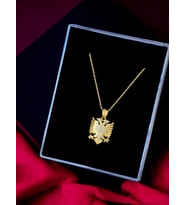 Silvari Silver Çift Başlı Kartal Arnavutluk Sembolü Beyaz Taşlı Tasarım 925 Ayar Gümüş Kolye (Gold)